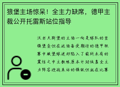 狼堡主场惊呆！全主力缺席，德甲主裁公开托雷斯站位指导